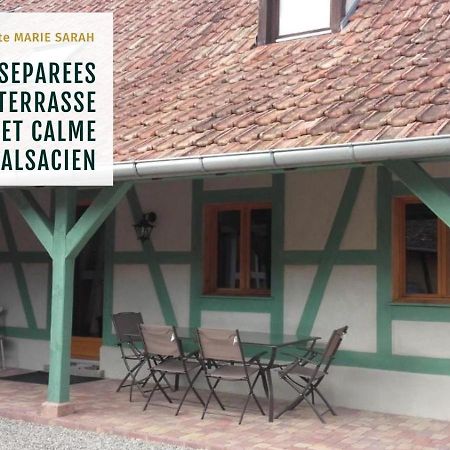 Gite Chez Marie-Sarah Petite Maison Calme Parking Ebersheim Екстериор снимка